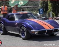 TSR Watermark - 0568